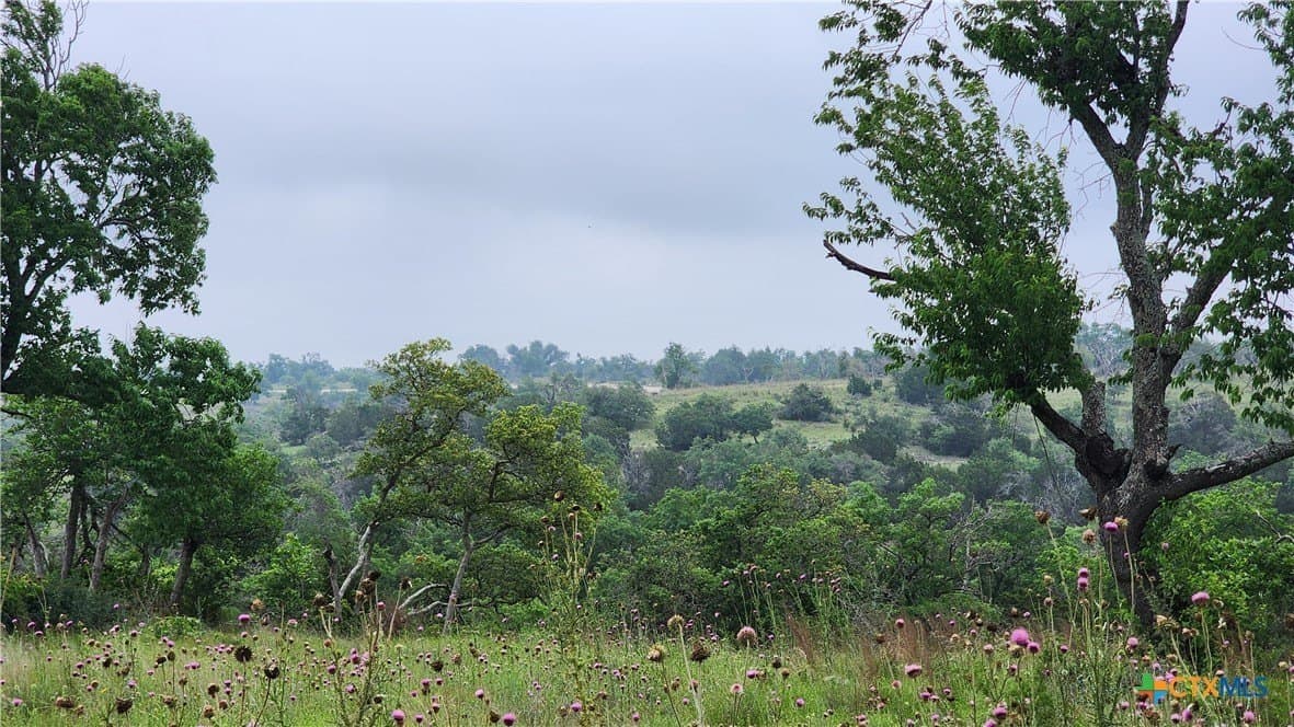 5.23 acres in Gillespie County - photo 2