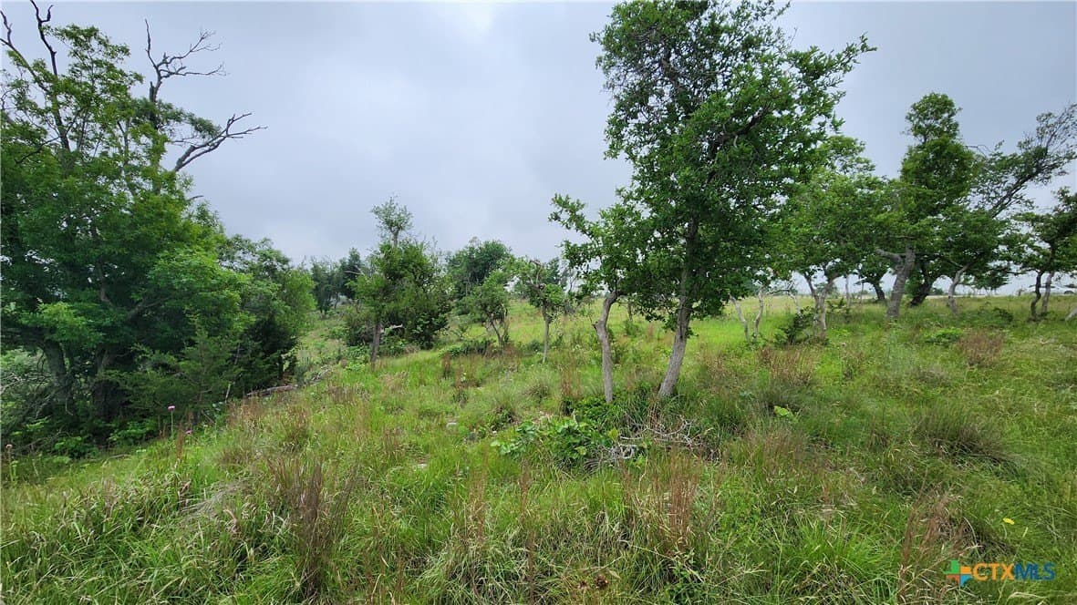 5.23 acres in Gillespie County - photo 7
