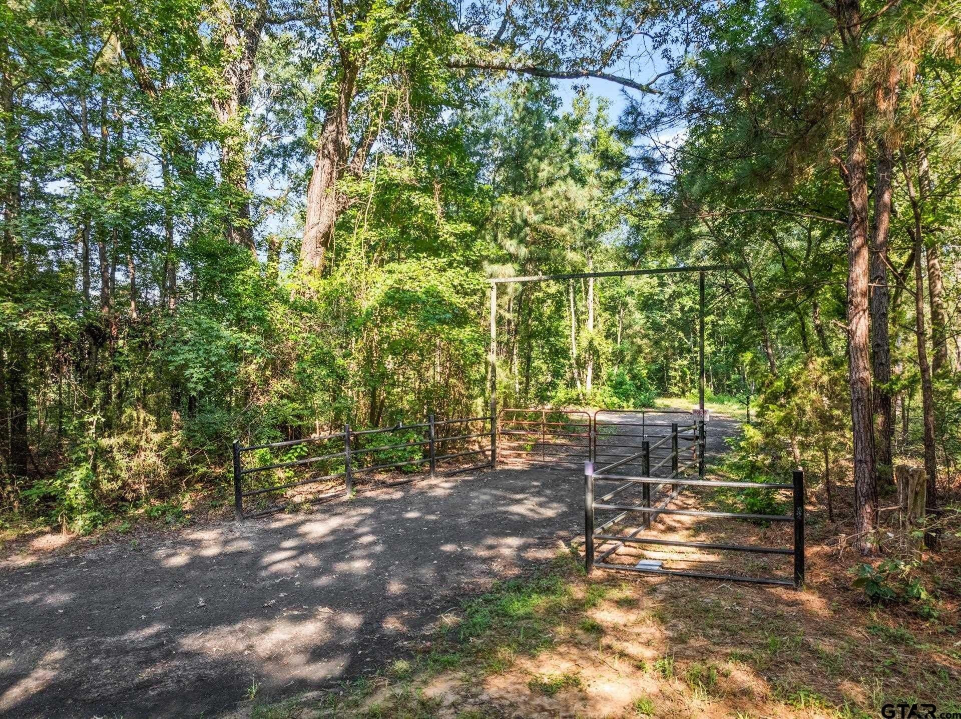 48.71 acres in Upshur County gallery image 3