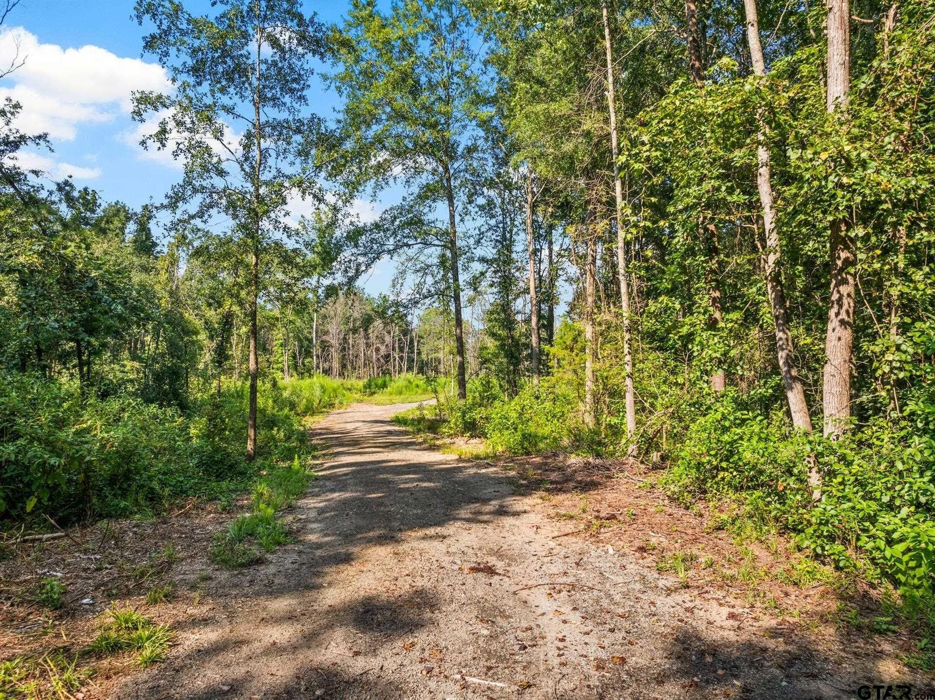 48.71 acres in Upshur County featured view