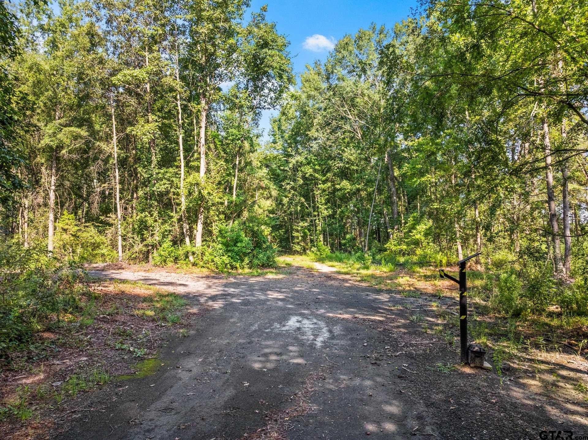 48.71 acres in Upshur County gallery image 4