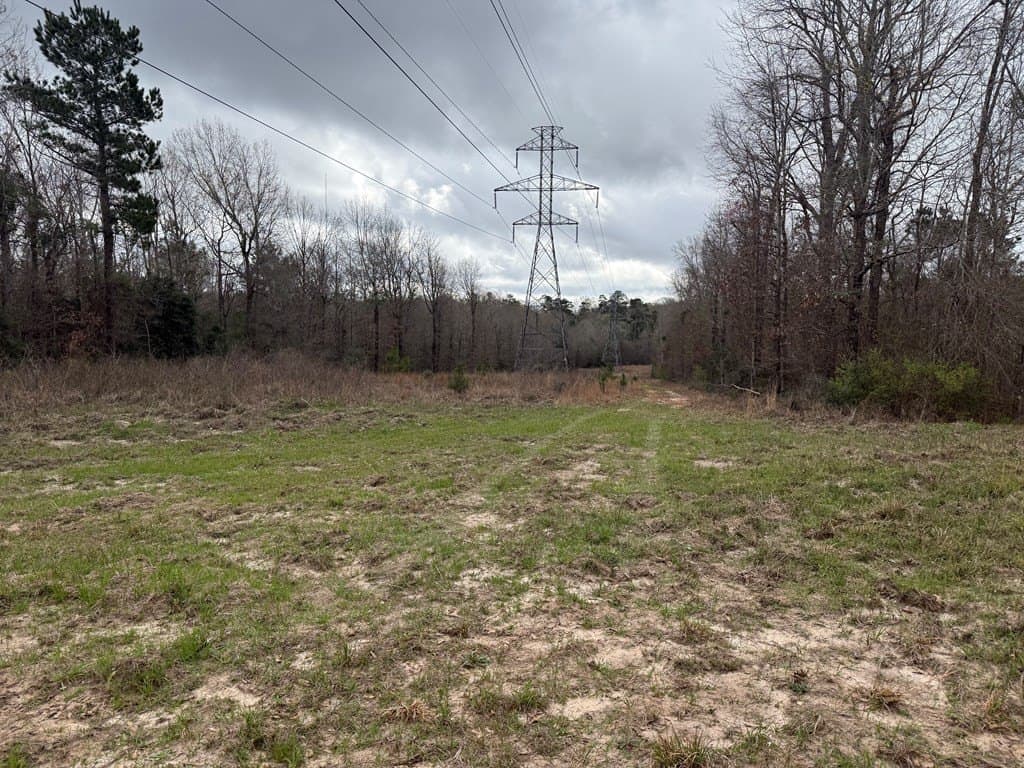 34.53 acres in Texas County gallery image 4