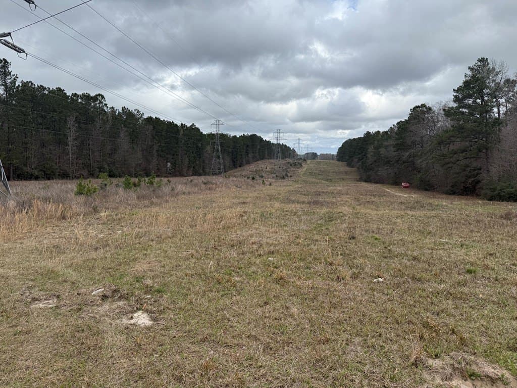 34.53 acres in Texas County gallery image 3