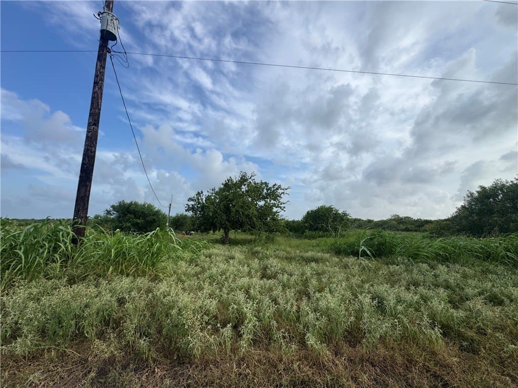 5 acres in Refugio County gallery image 4