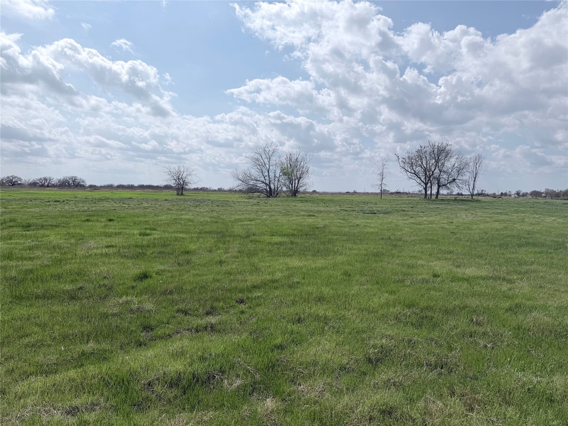 13.27 acres in Hill County gallery image 4