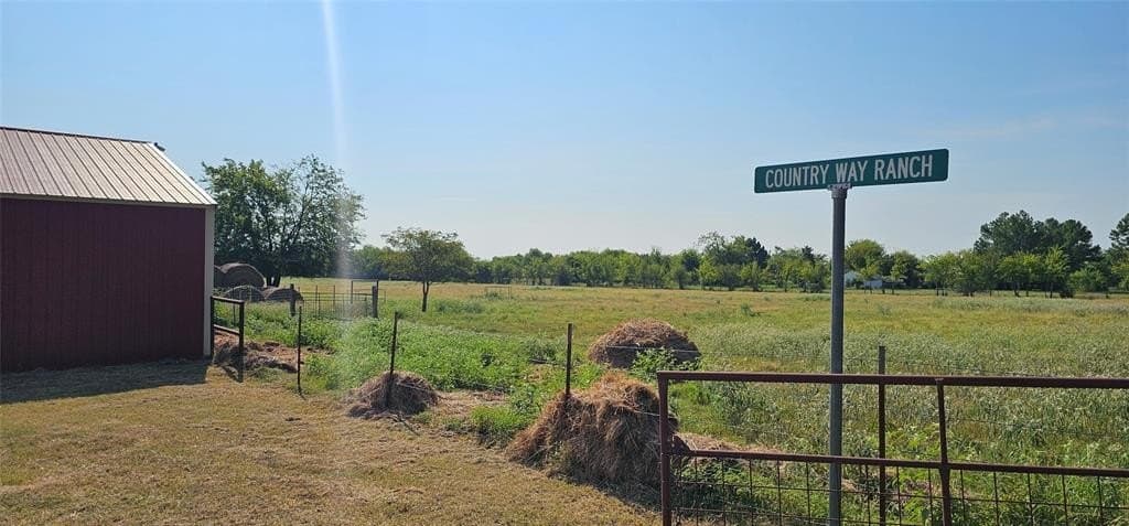 31.35 acres in Rains County gallery image 4