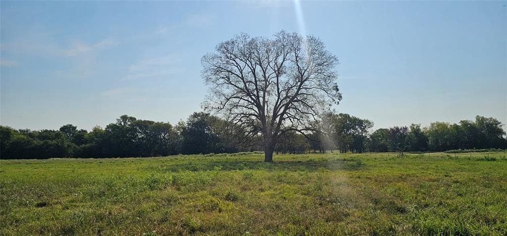 31.35 acres in Rains County featured view