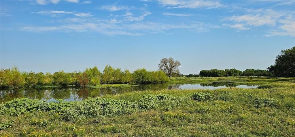 31.35 acres in Rains County gallery image 3