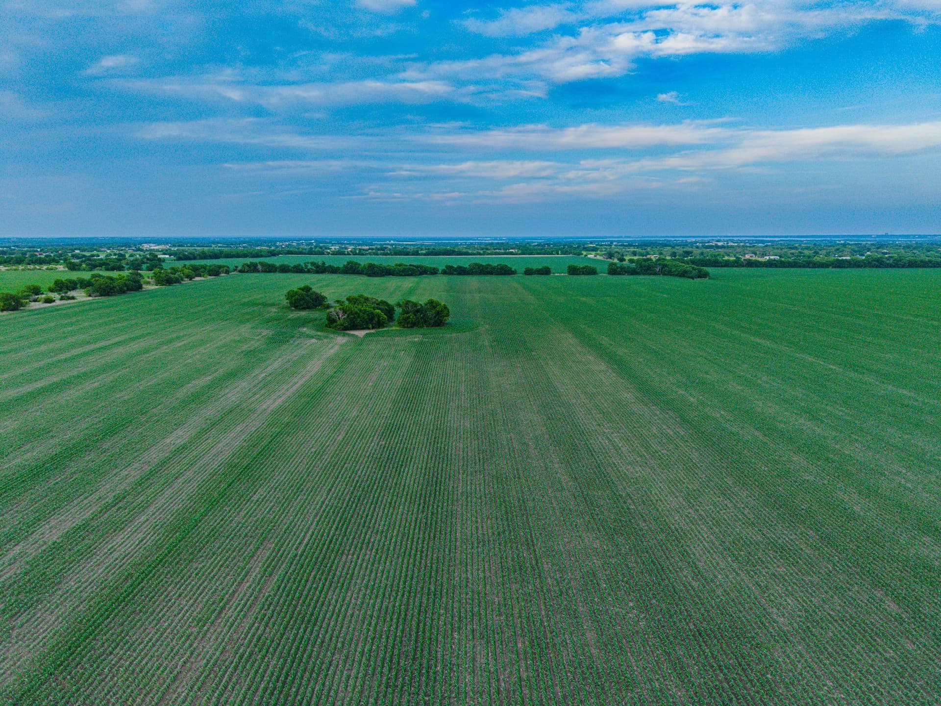 18.03 acres in McLennan County - photo 7