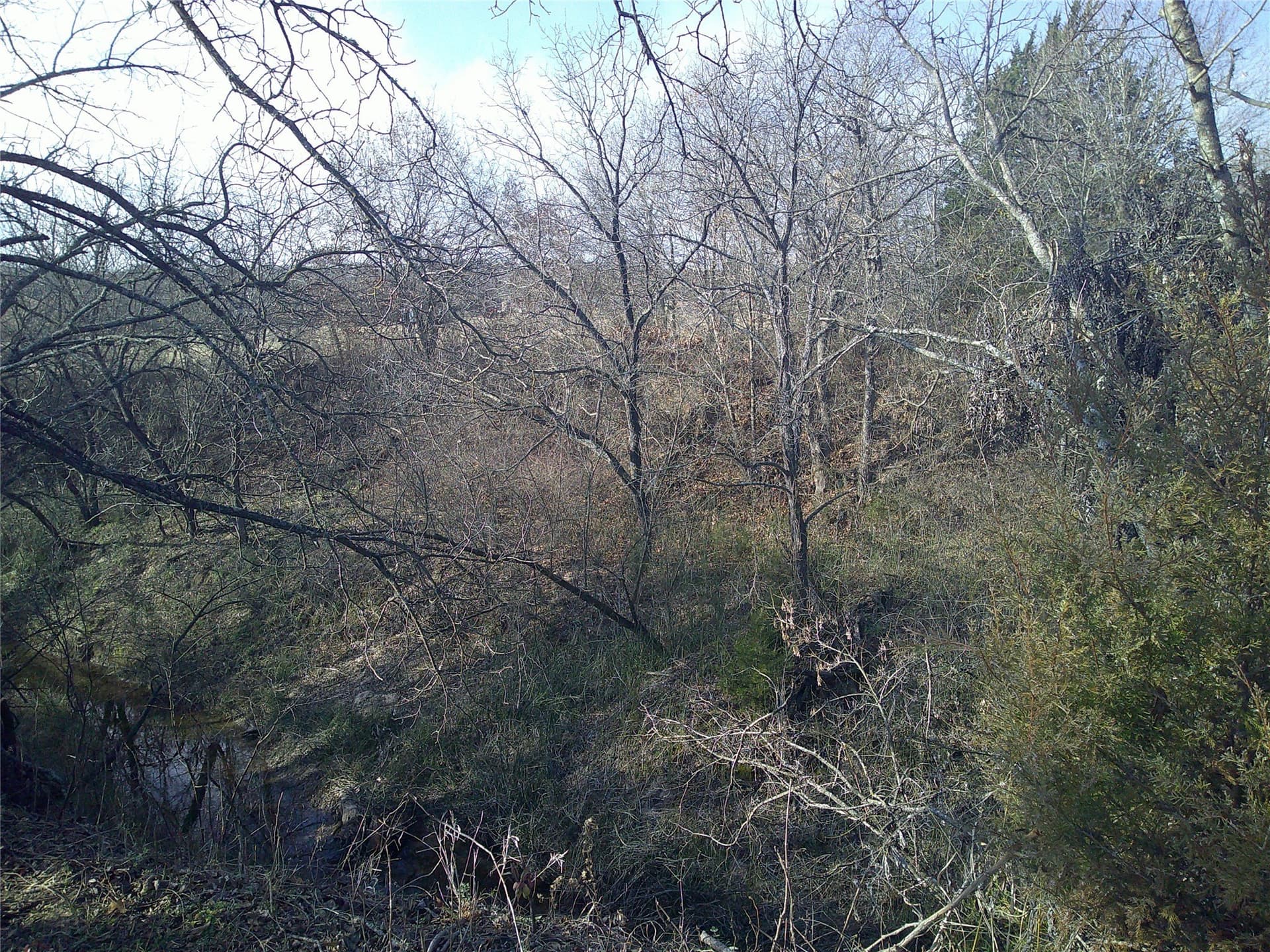 2.85 acres in Montague County - photo 7