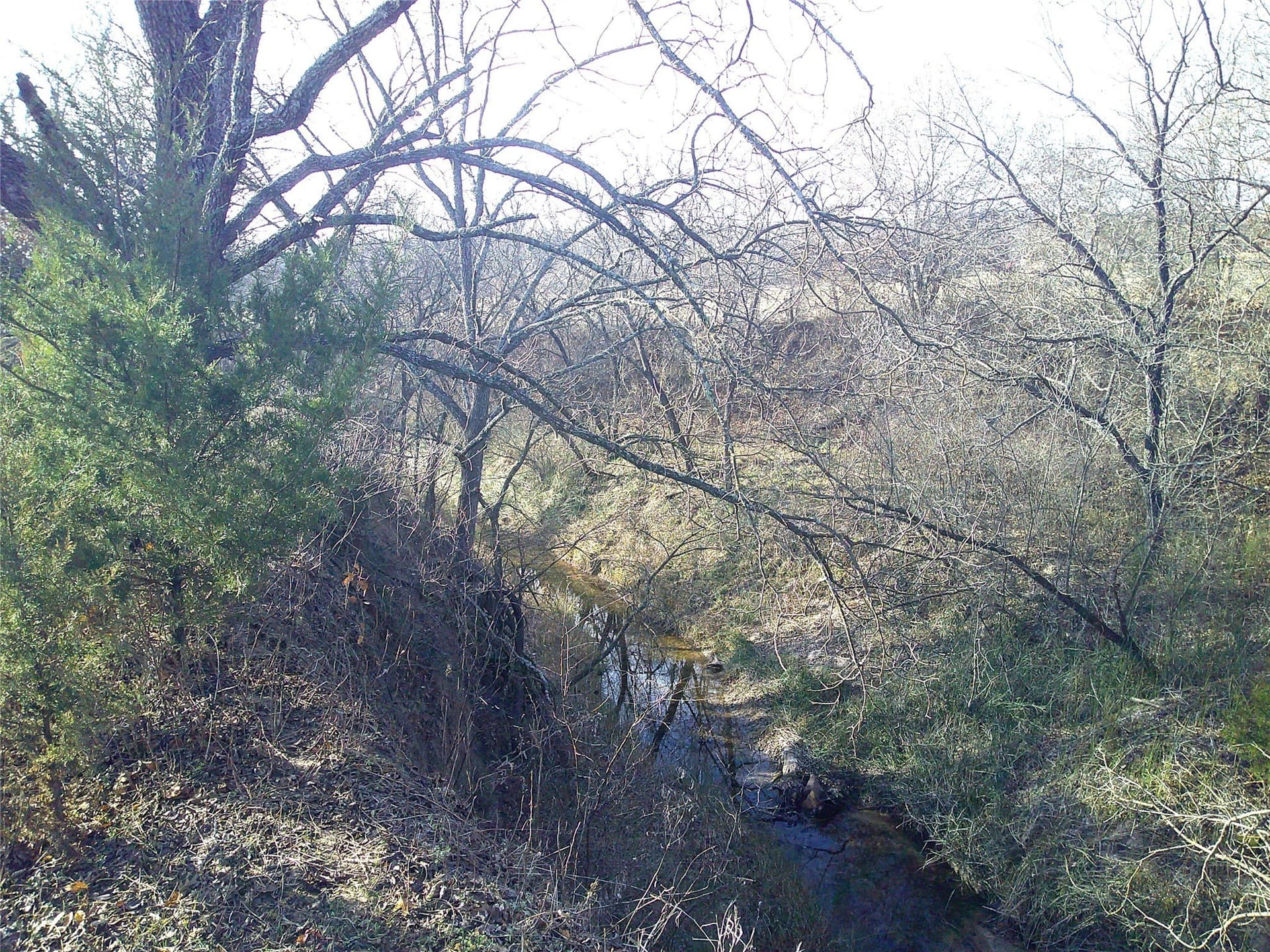 2.85 acres in Montague County - photo 6