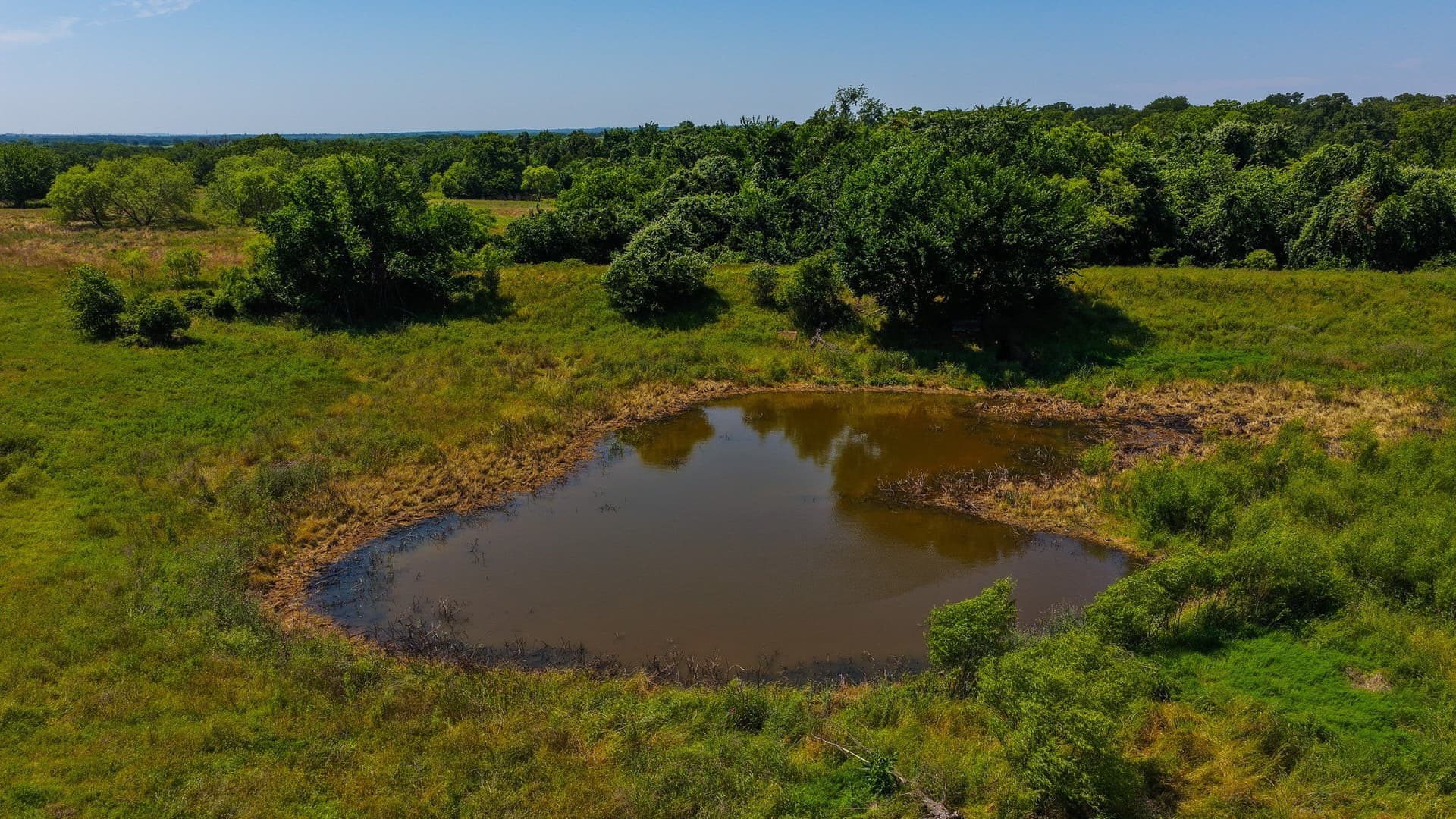 50 acres in Wise County featured view