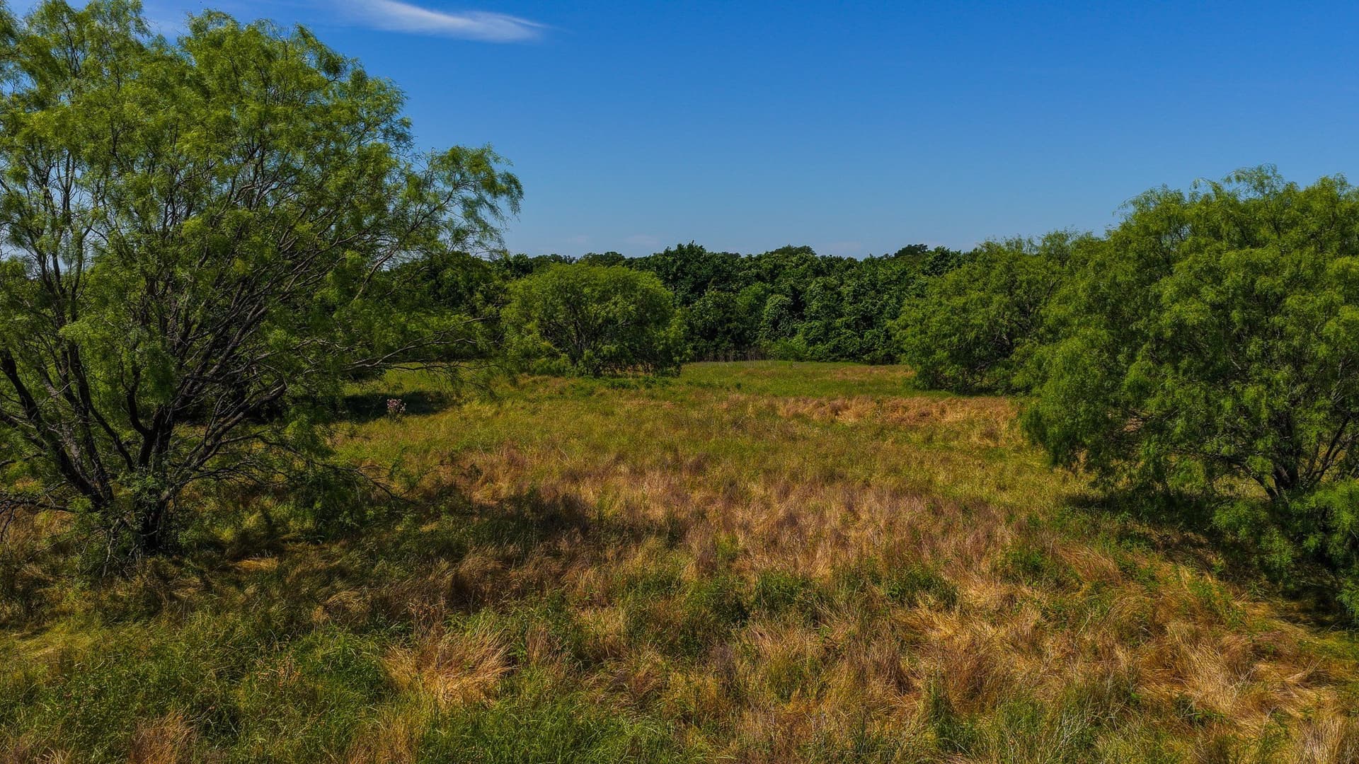 50 acres in Wise County - photo 25