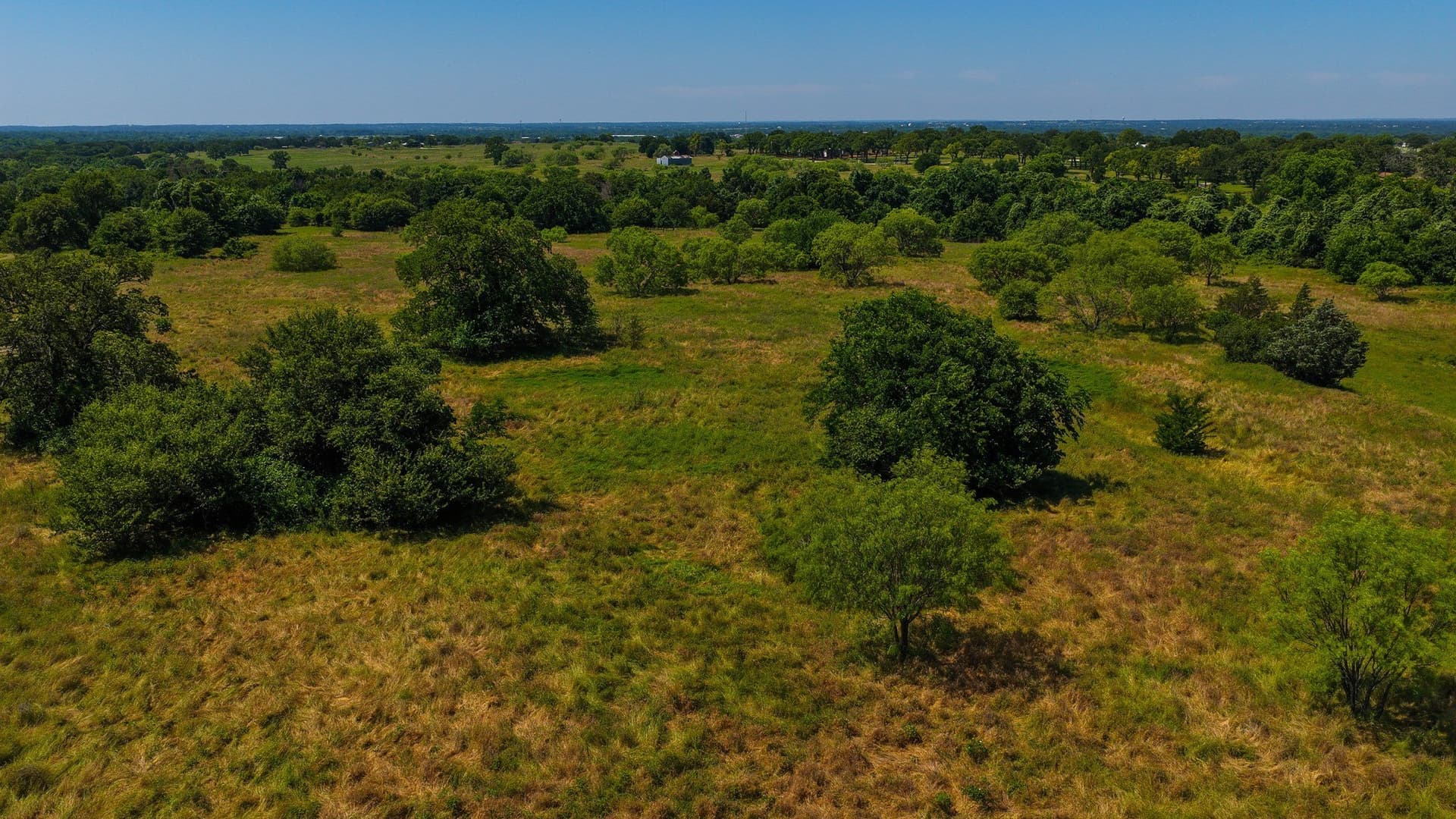 50 acres in Wise County - photo 7