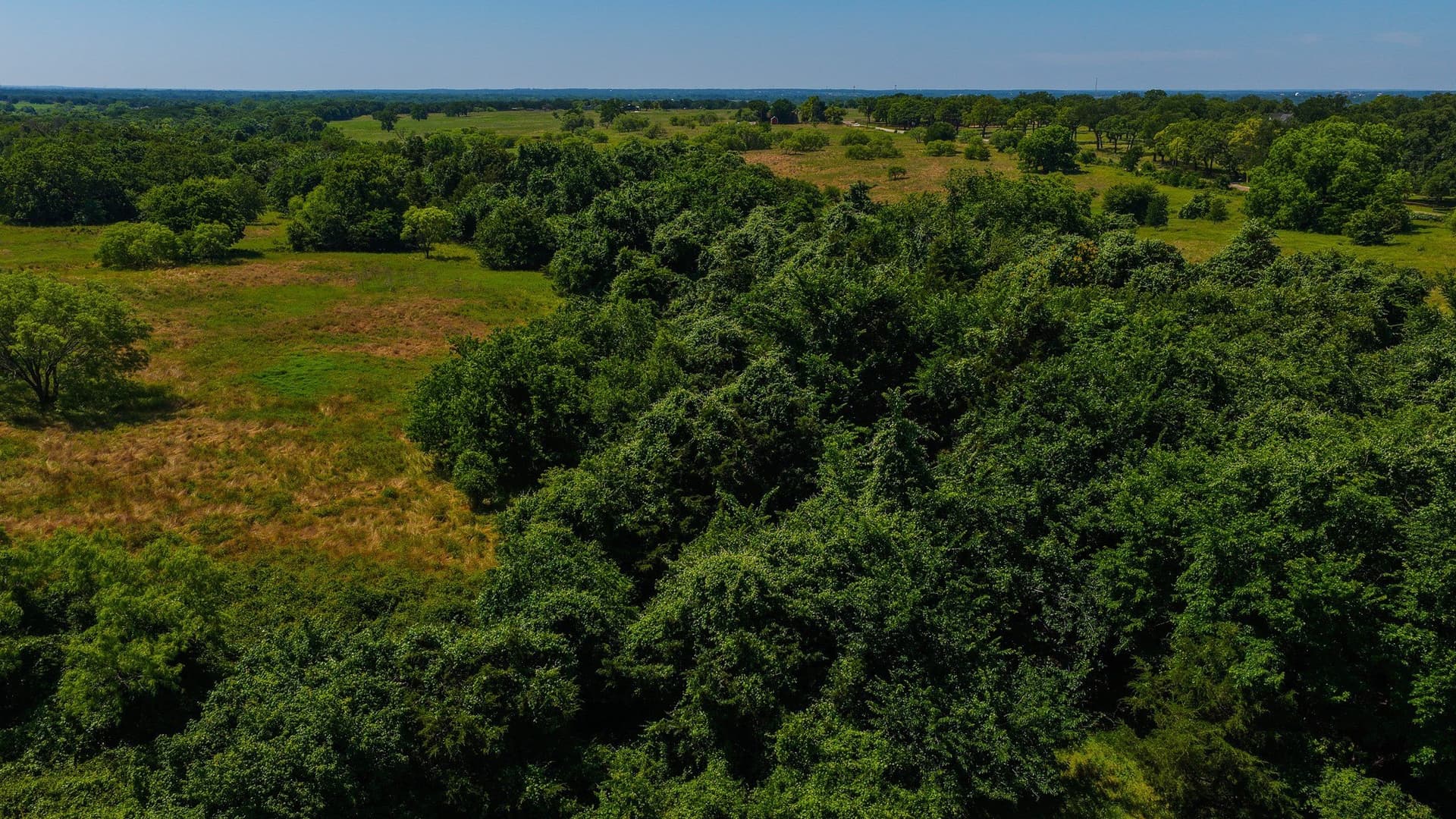 50 acres in Wise County - photo 22