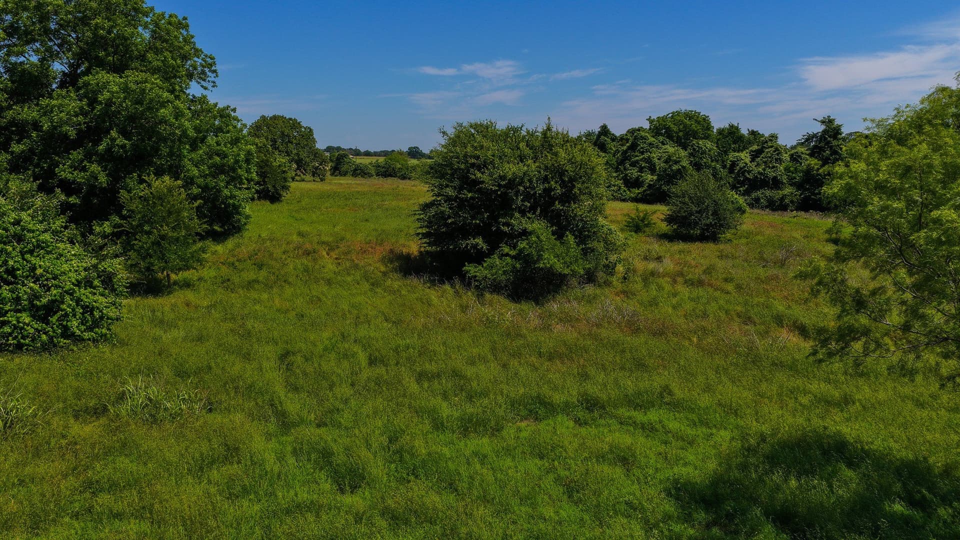 50 acres in Wise County - photo 40