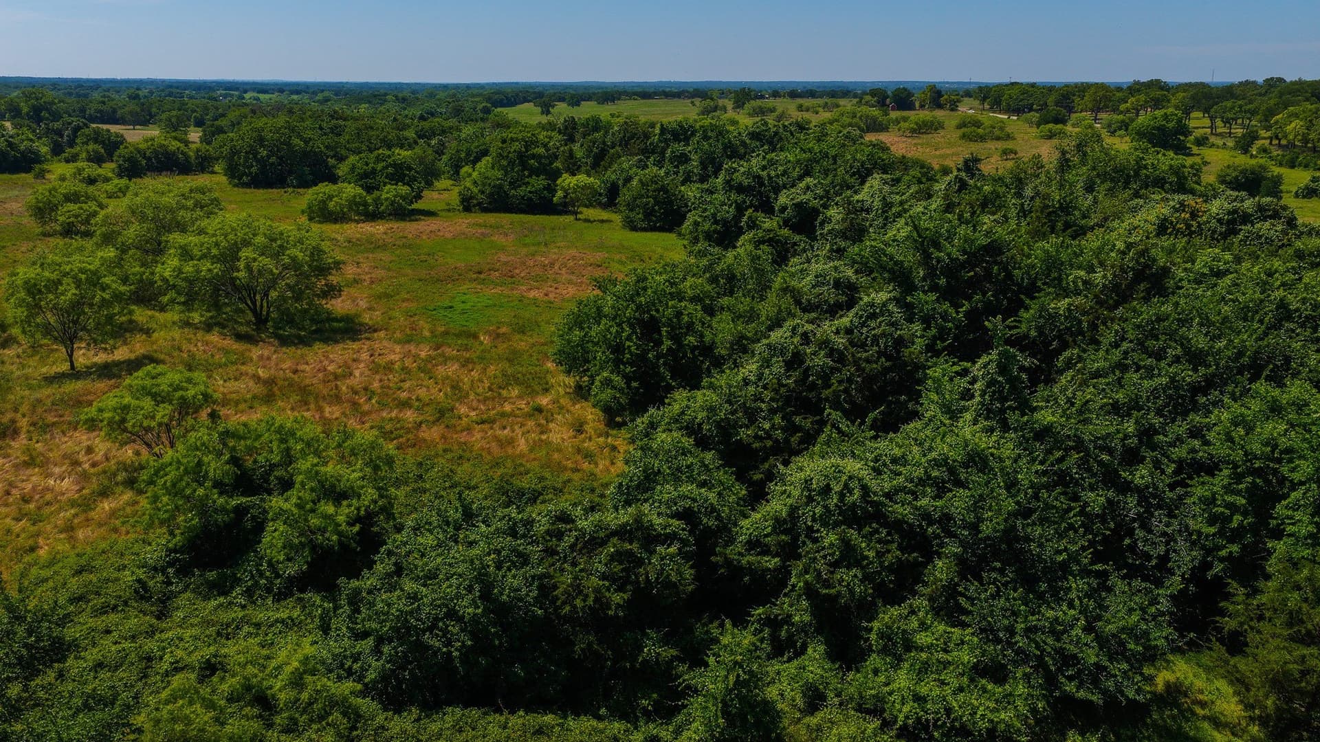 50 acres in Wise County gallery image 4