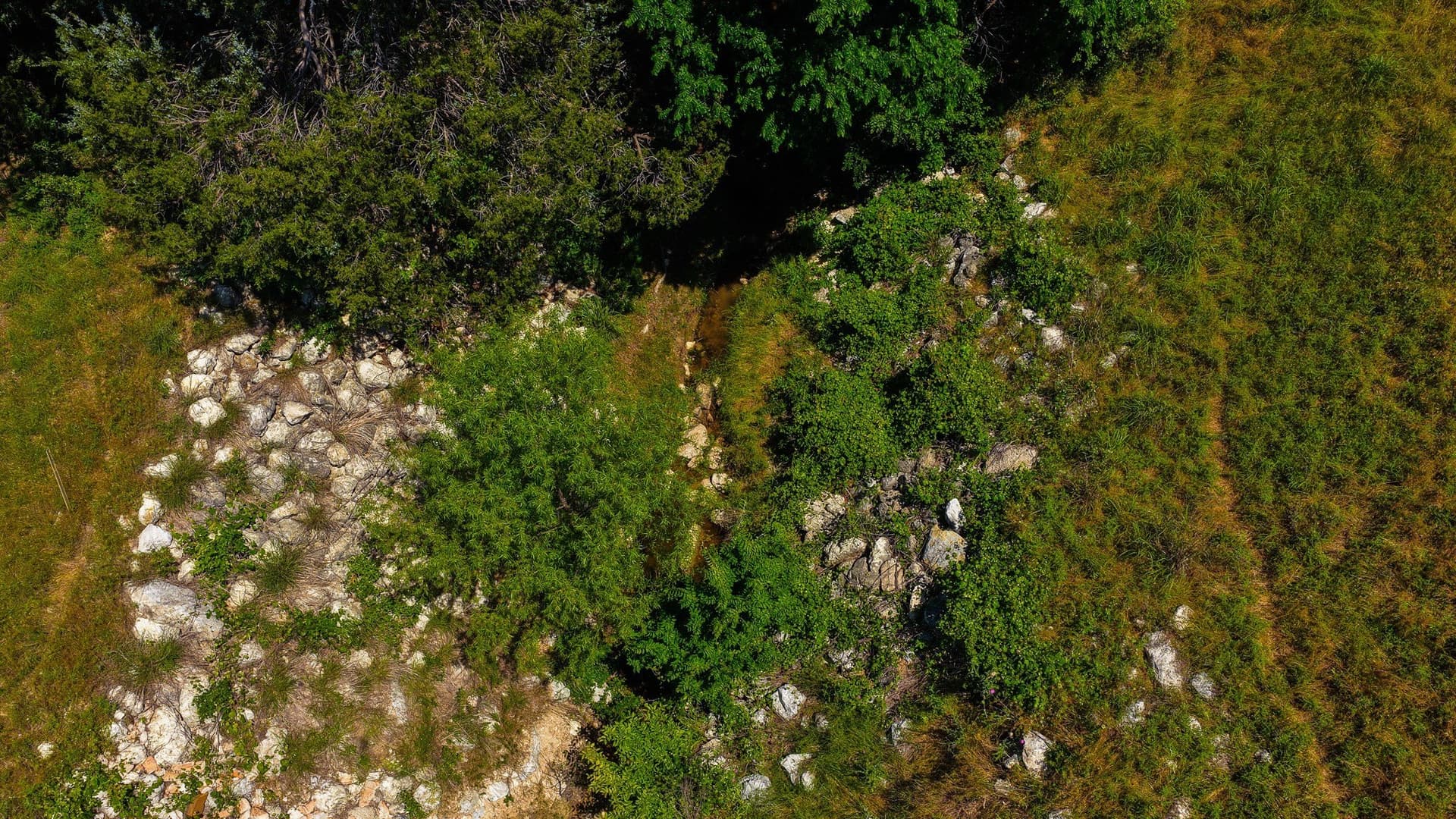 50 acres in Wise County - photo 19