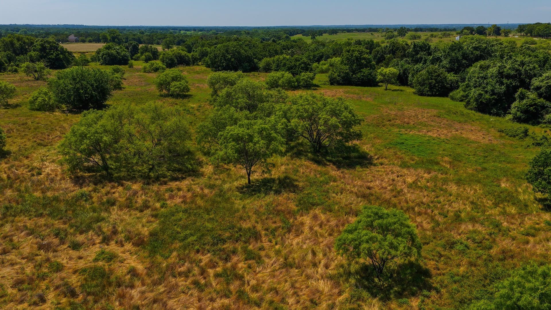 50 acres in Wise County - photo 31