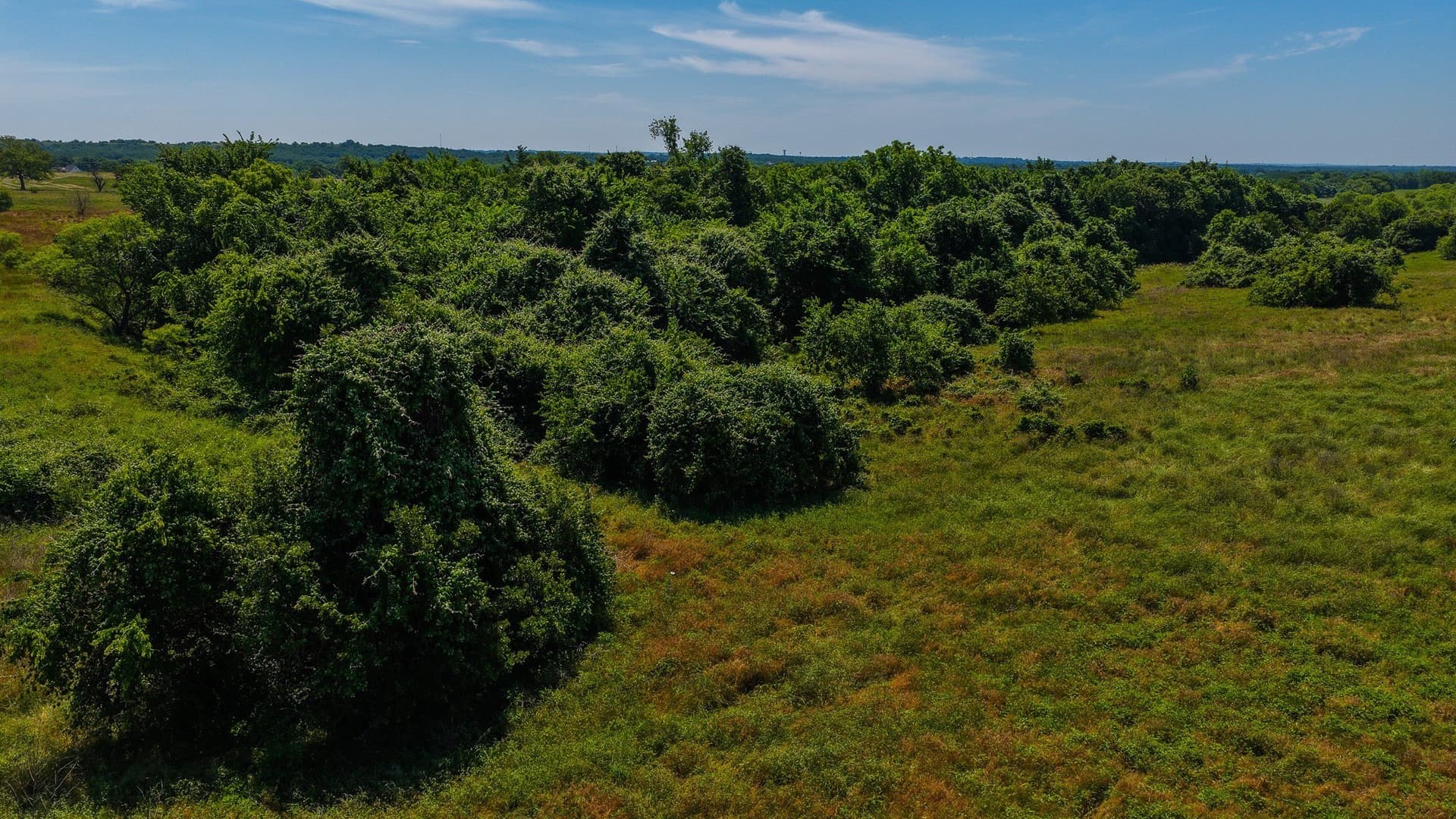 50 acres in Wise County - photo 23
