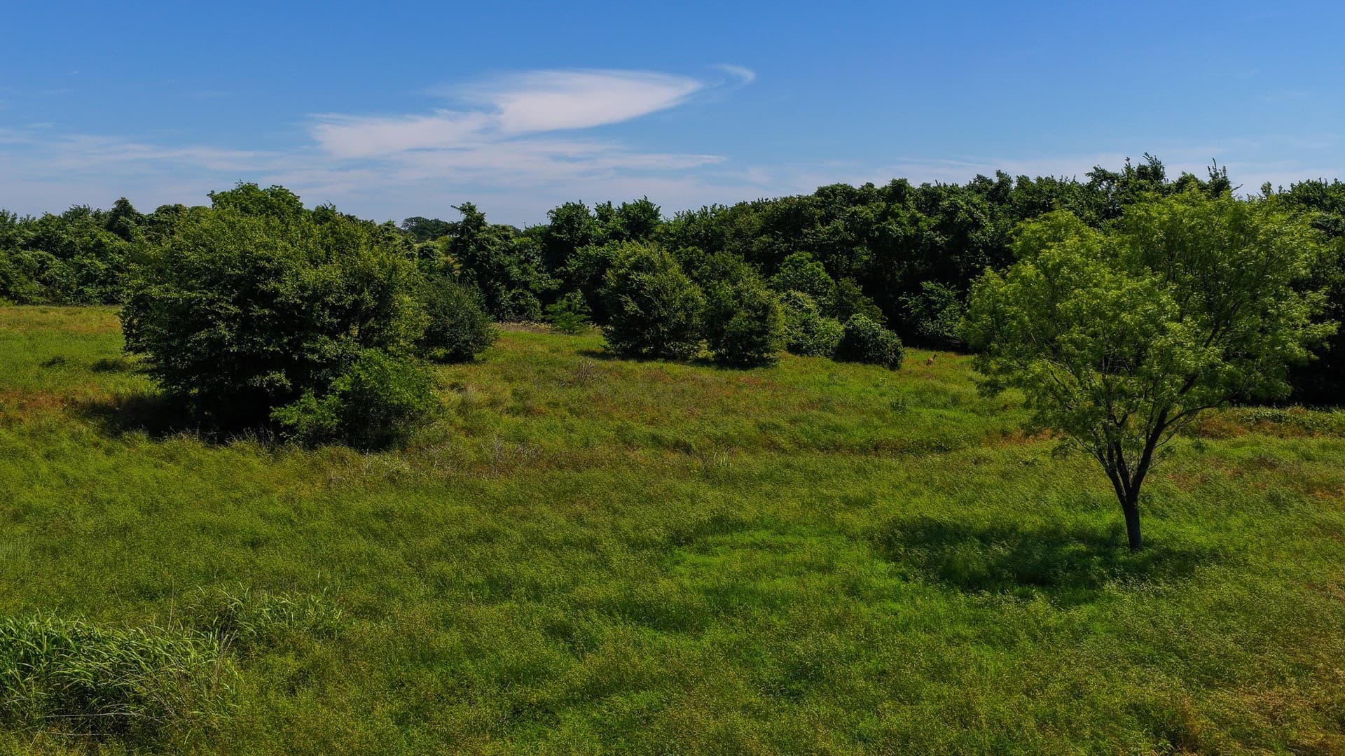 50 acres in Wise County - photo 37