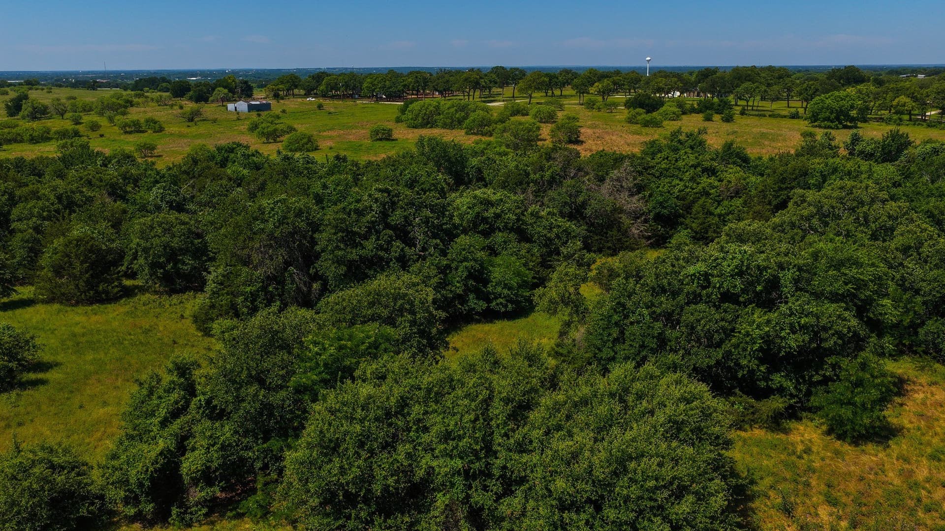 50 acres in Wise County gallery image 3