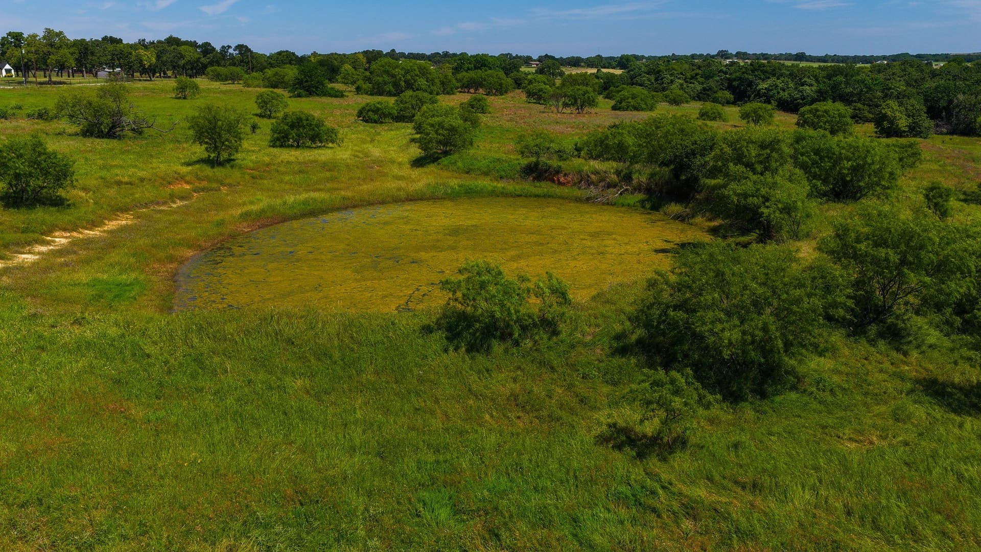 50 acres in Wise County - photo 20