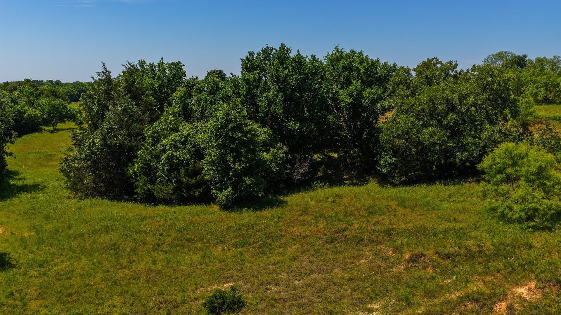 50 acres in Wise County - photo 15