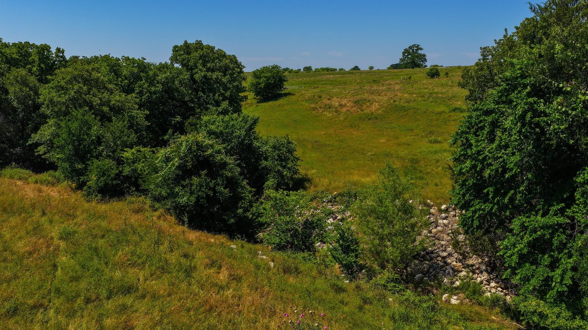 50 acres in Wise County - photo 9