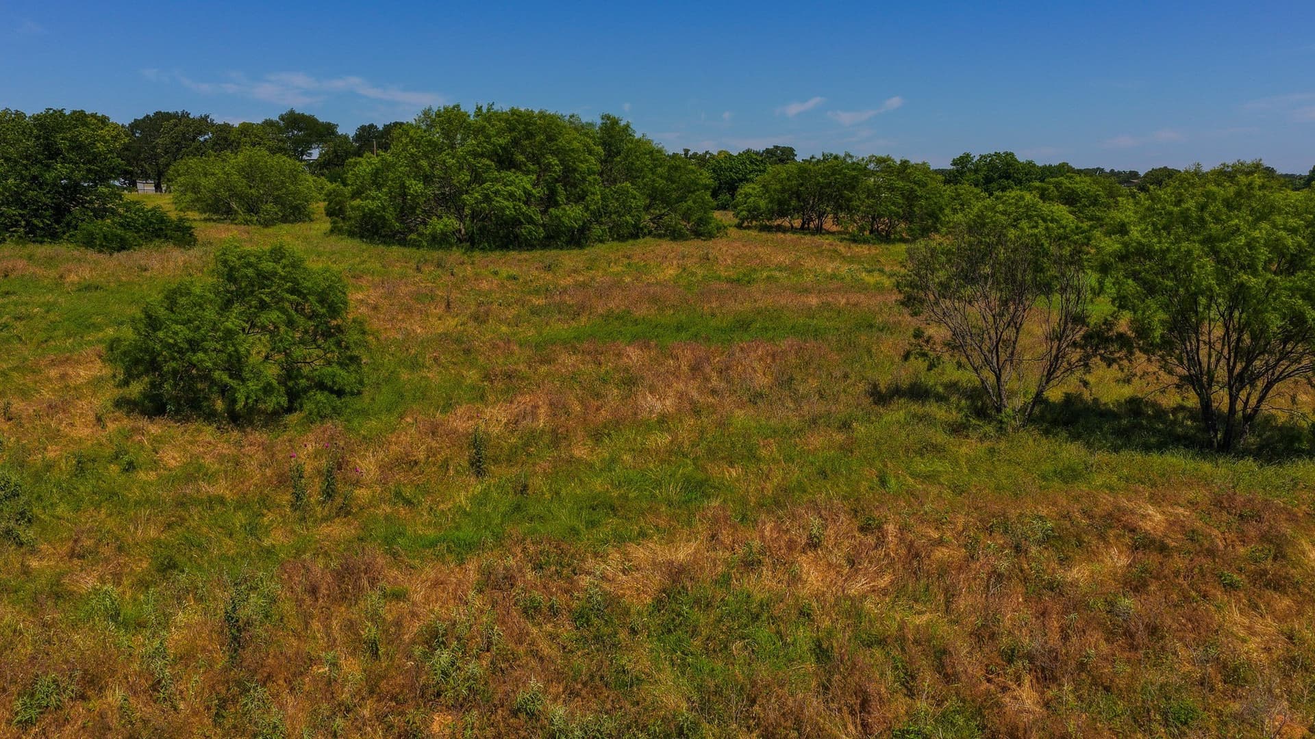 50 acres in Wise County - photo 30