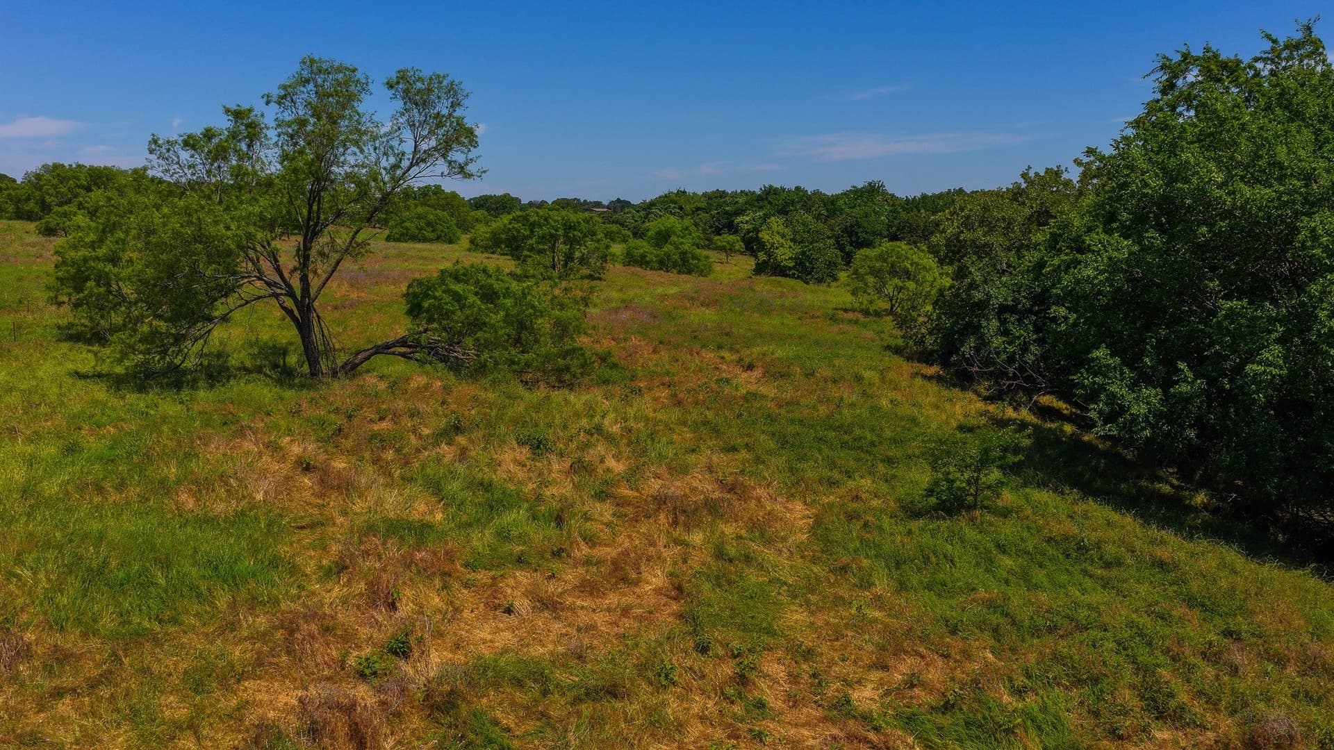 50 acres in Wise County - photo 33