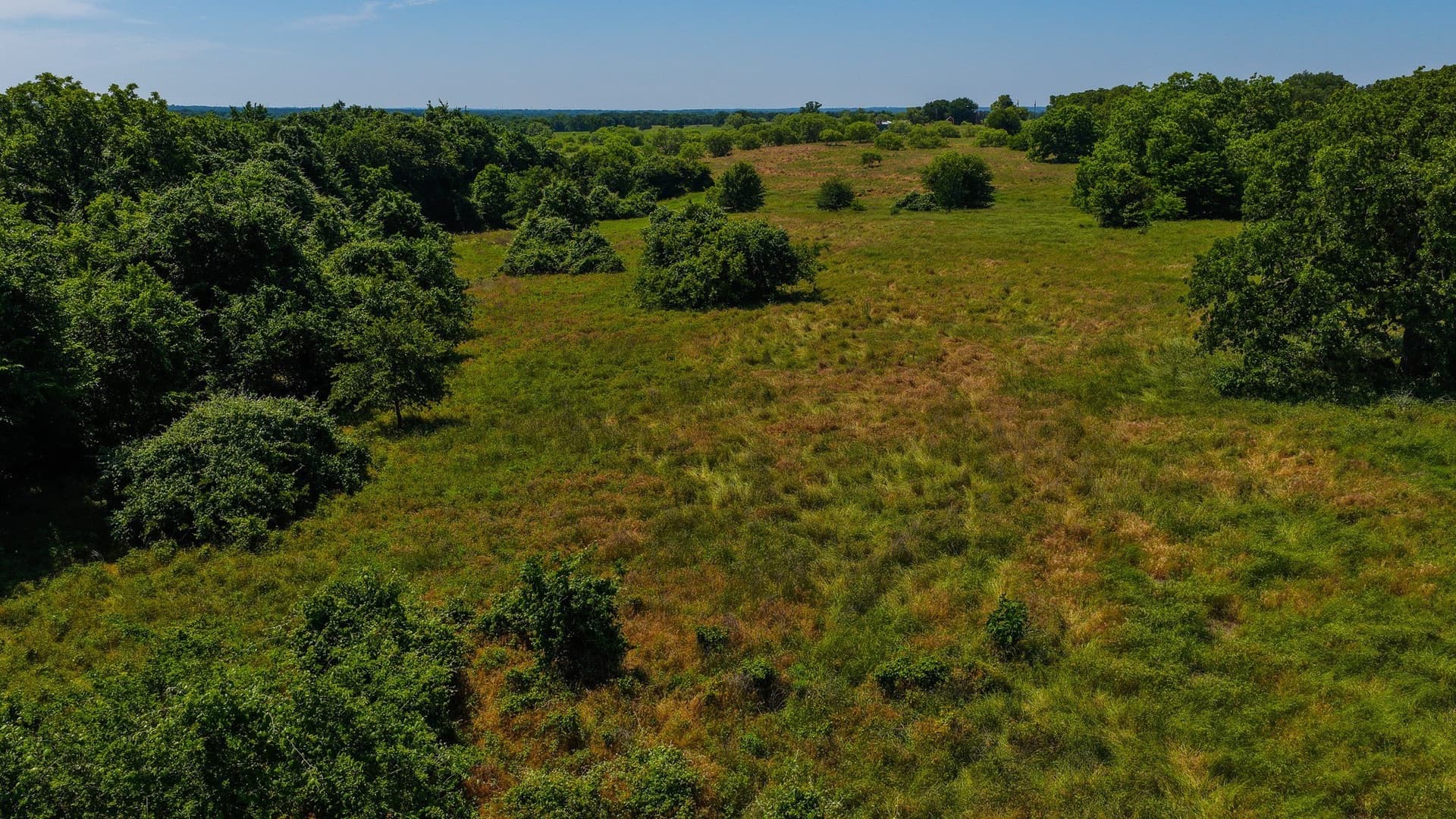 50 acres in Wise County - photo 8