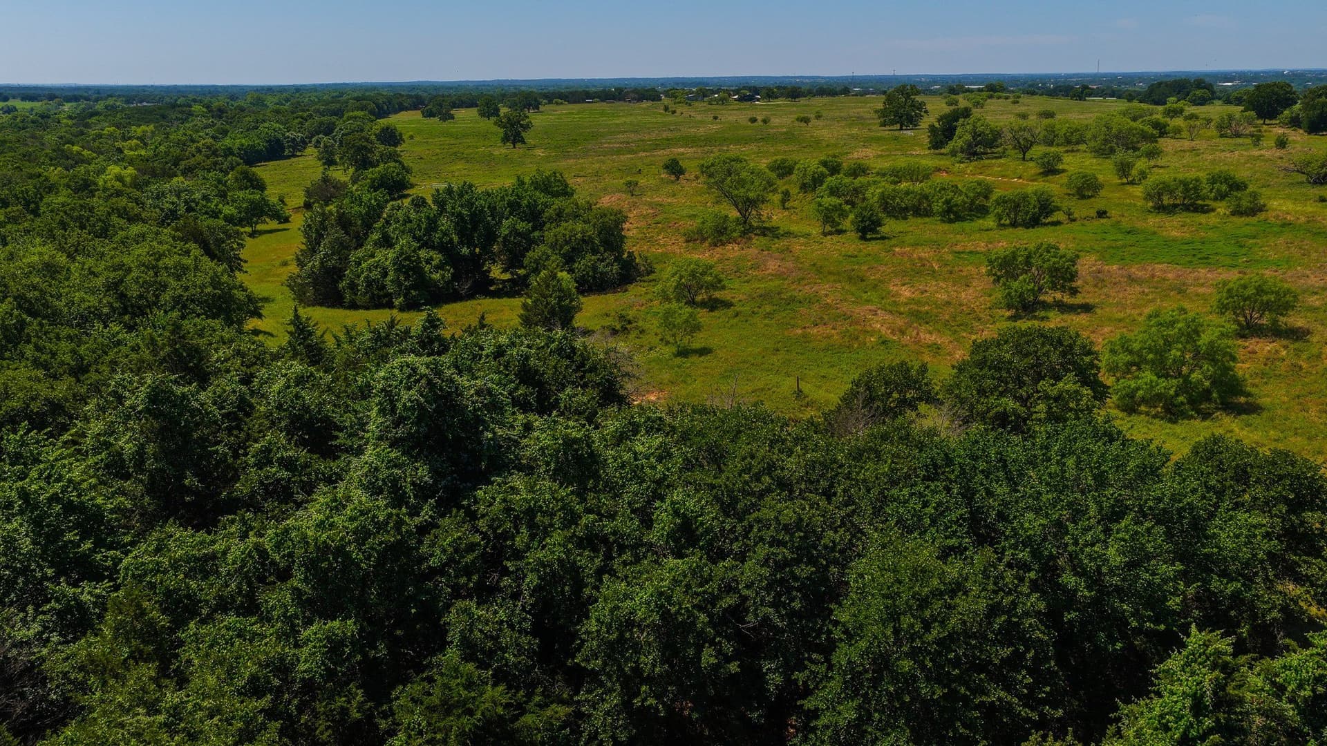 50 acres in Wise County - photo 14