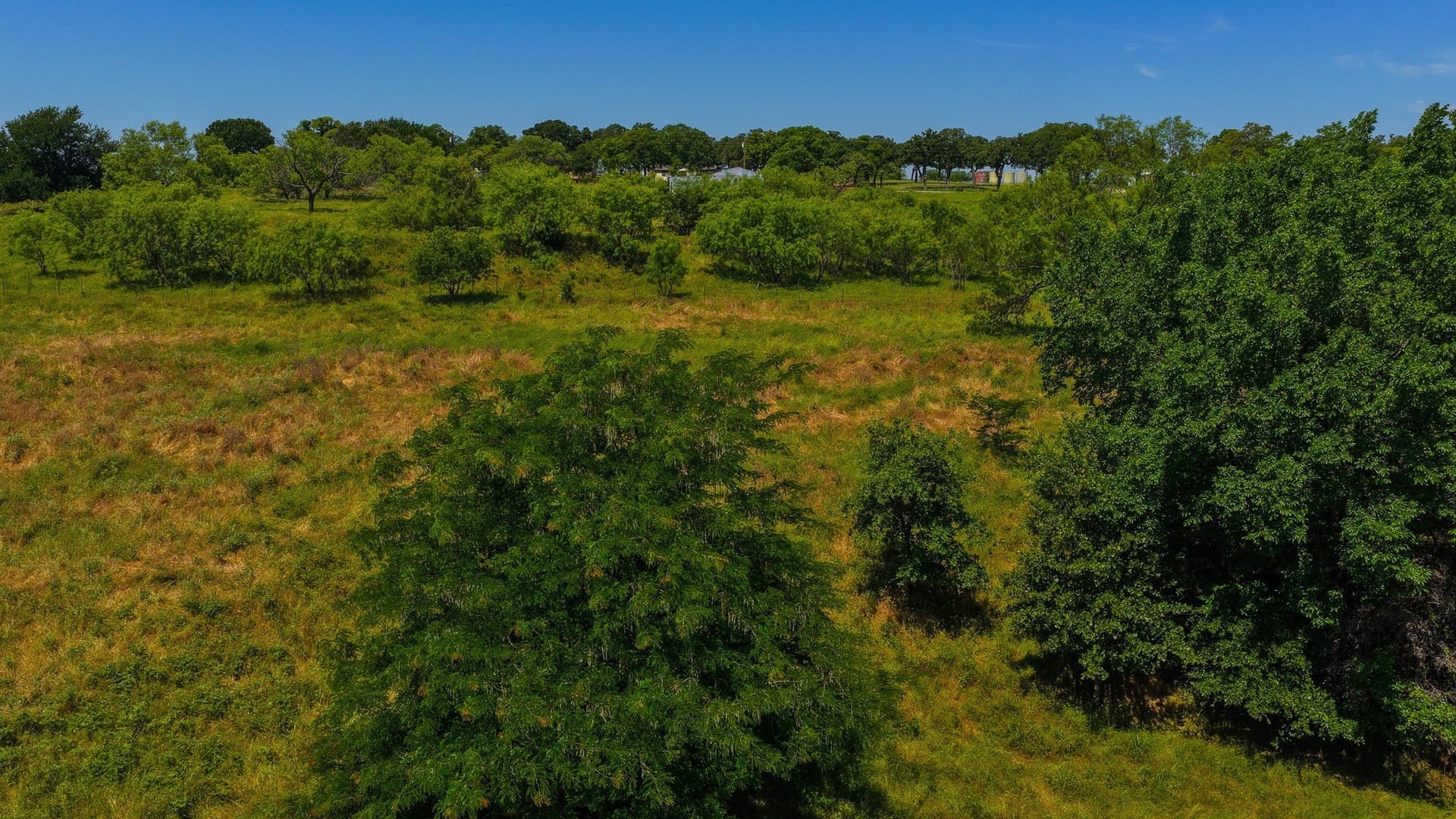50 acres in Wise County - photo 11