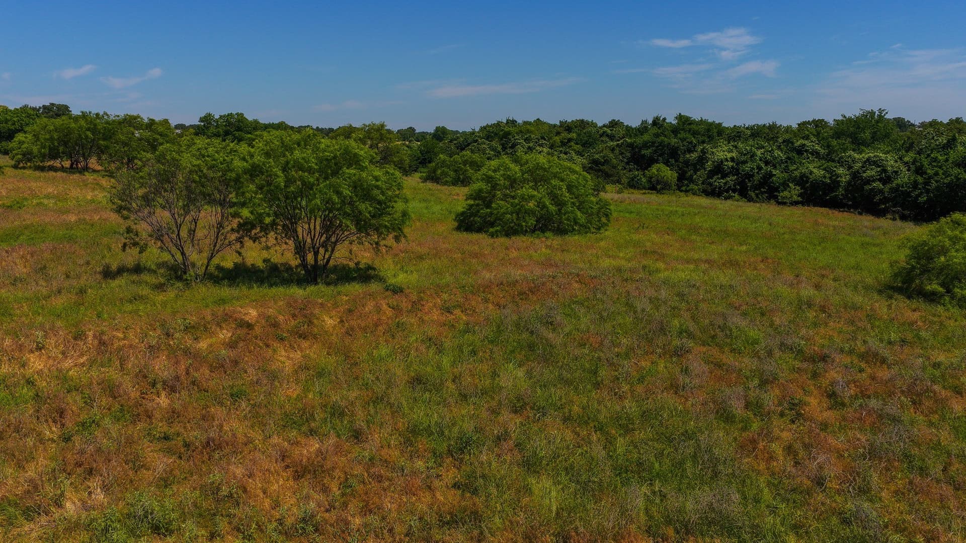 50 acres in Wise County - photo 29