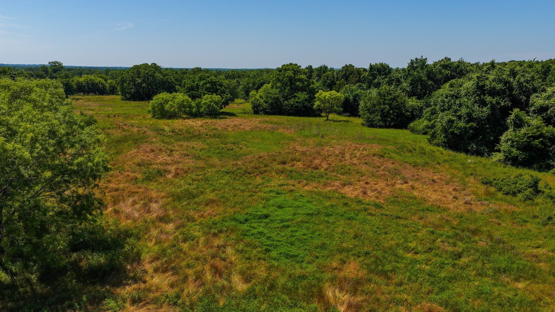 50 acres in Wise County - photo 32