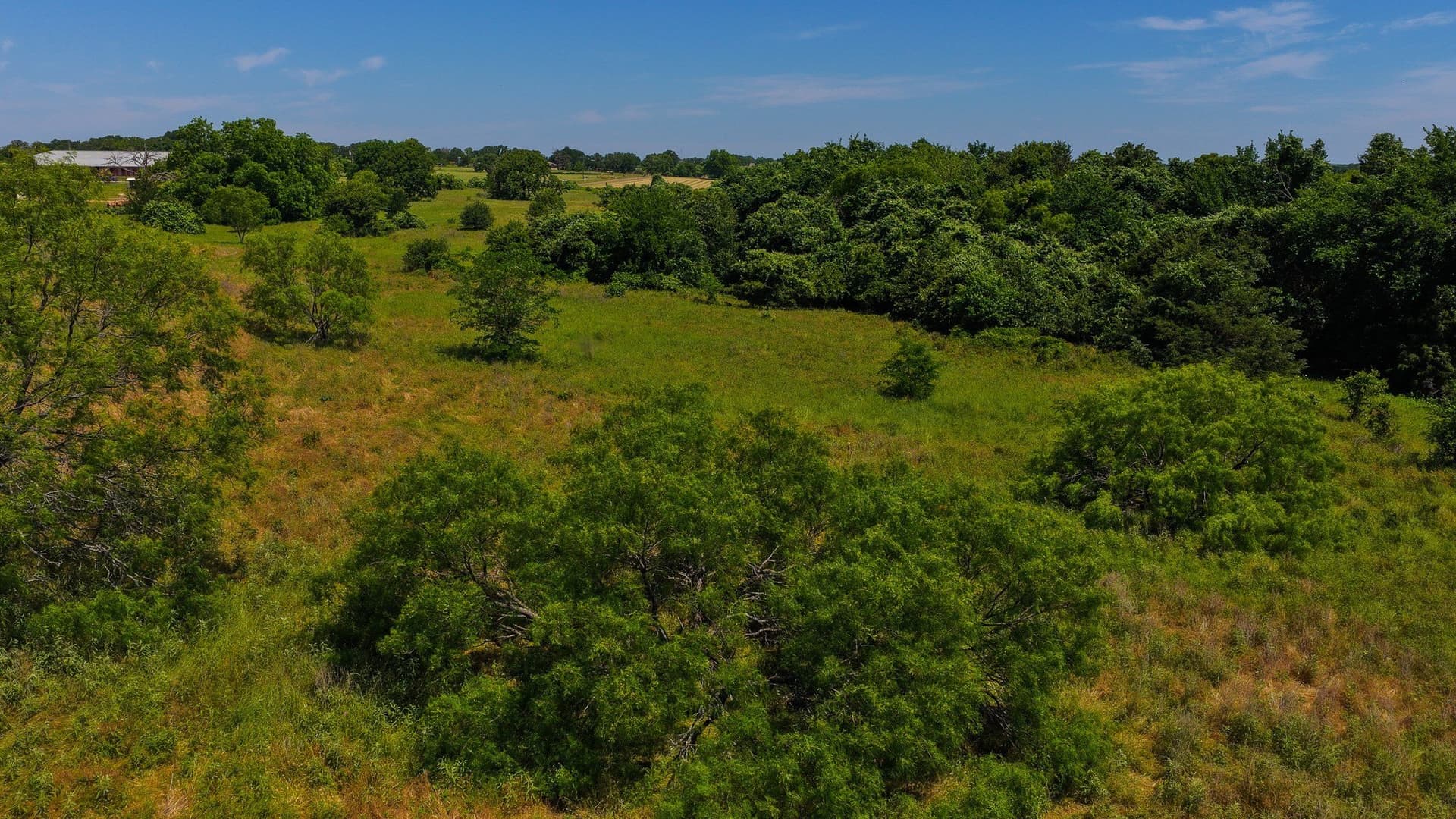 50 acres in Wise County - photo 35