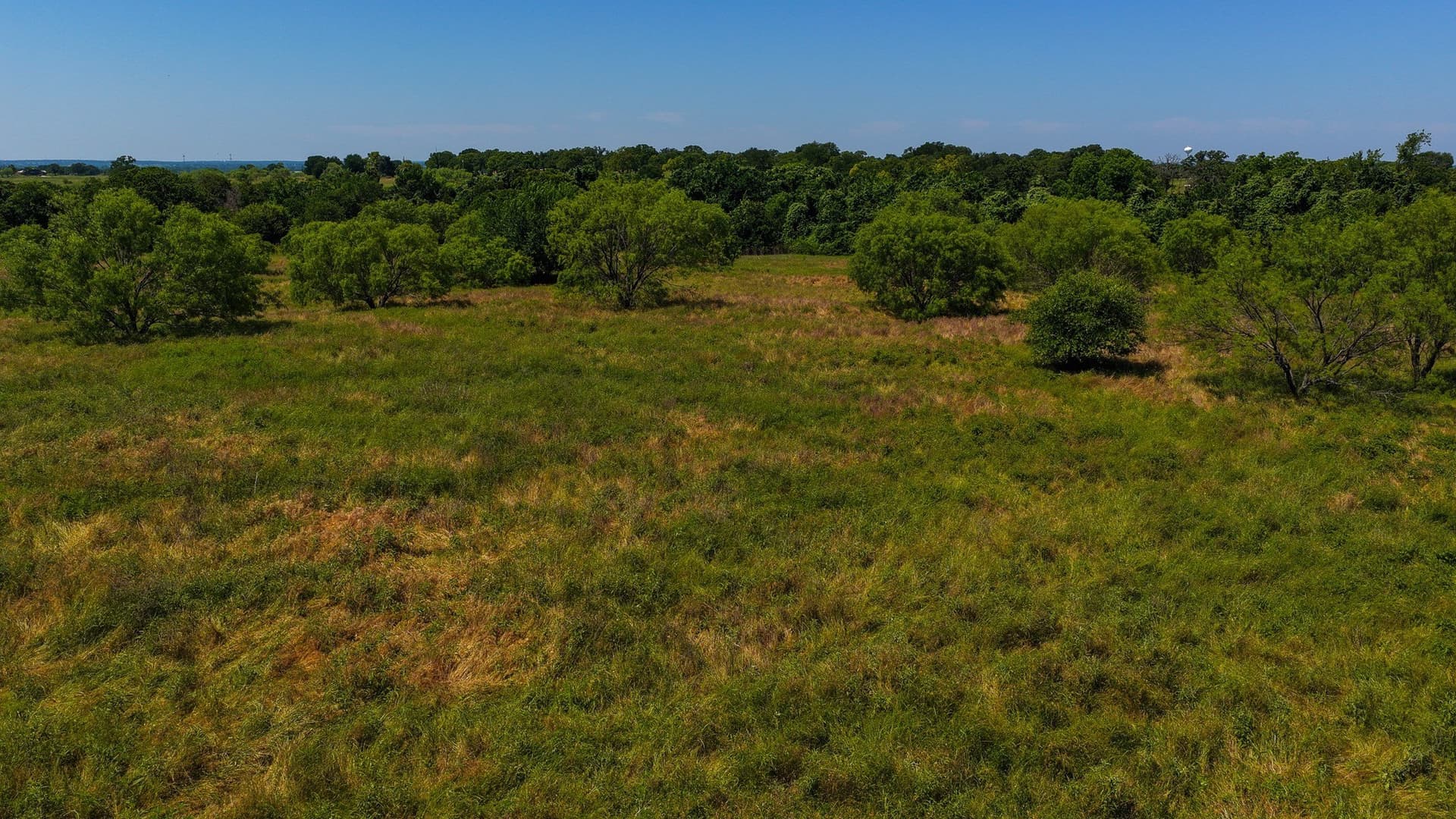 50 acres in Wise County - photo 24