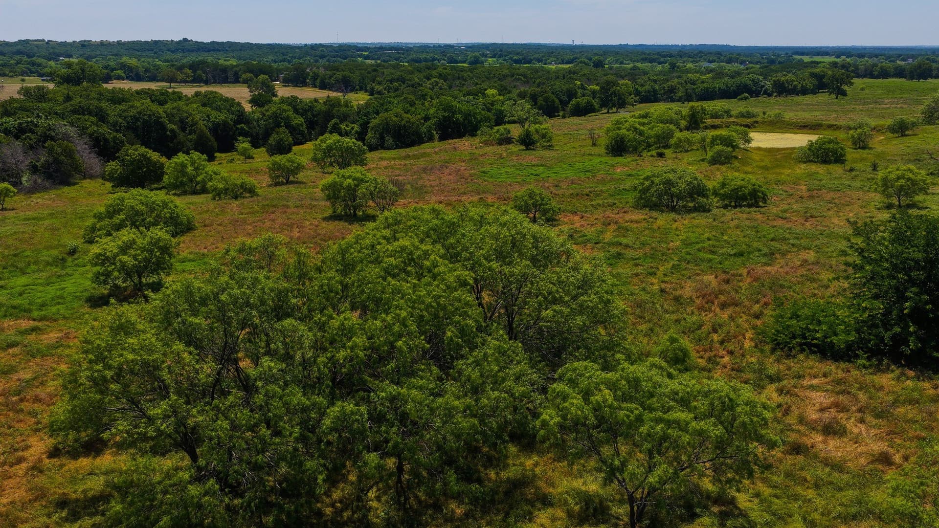 50 acres in Wise County - photo 38