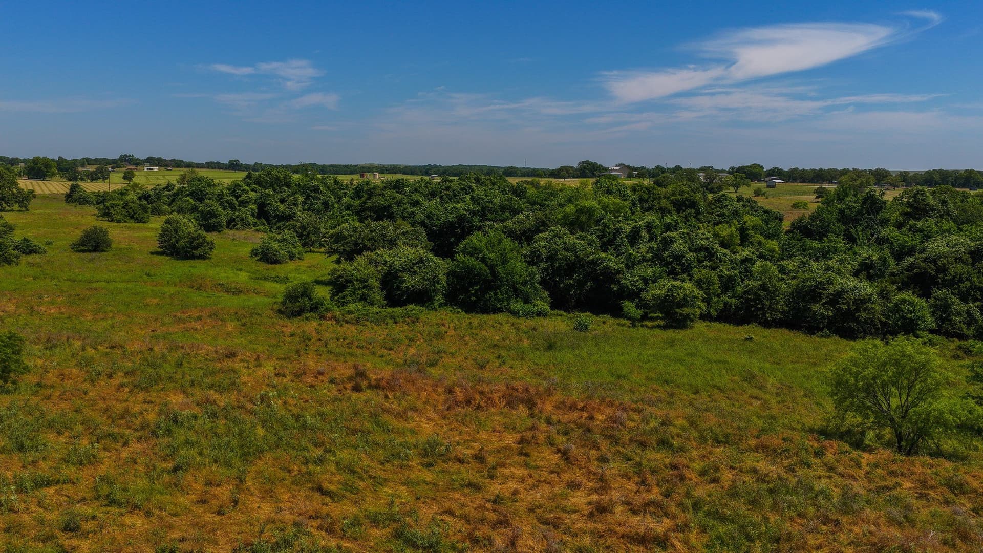 50 acres in Wise County - photo 12
