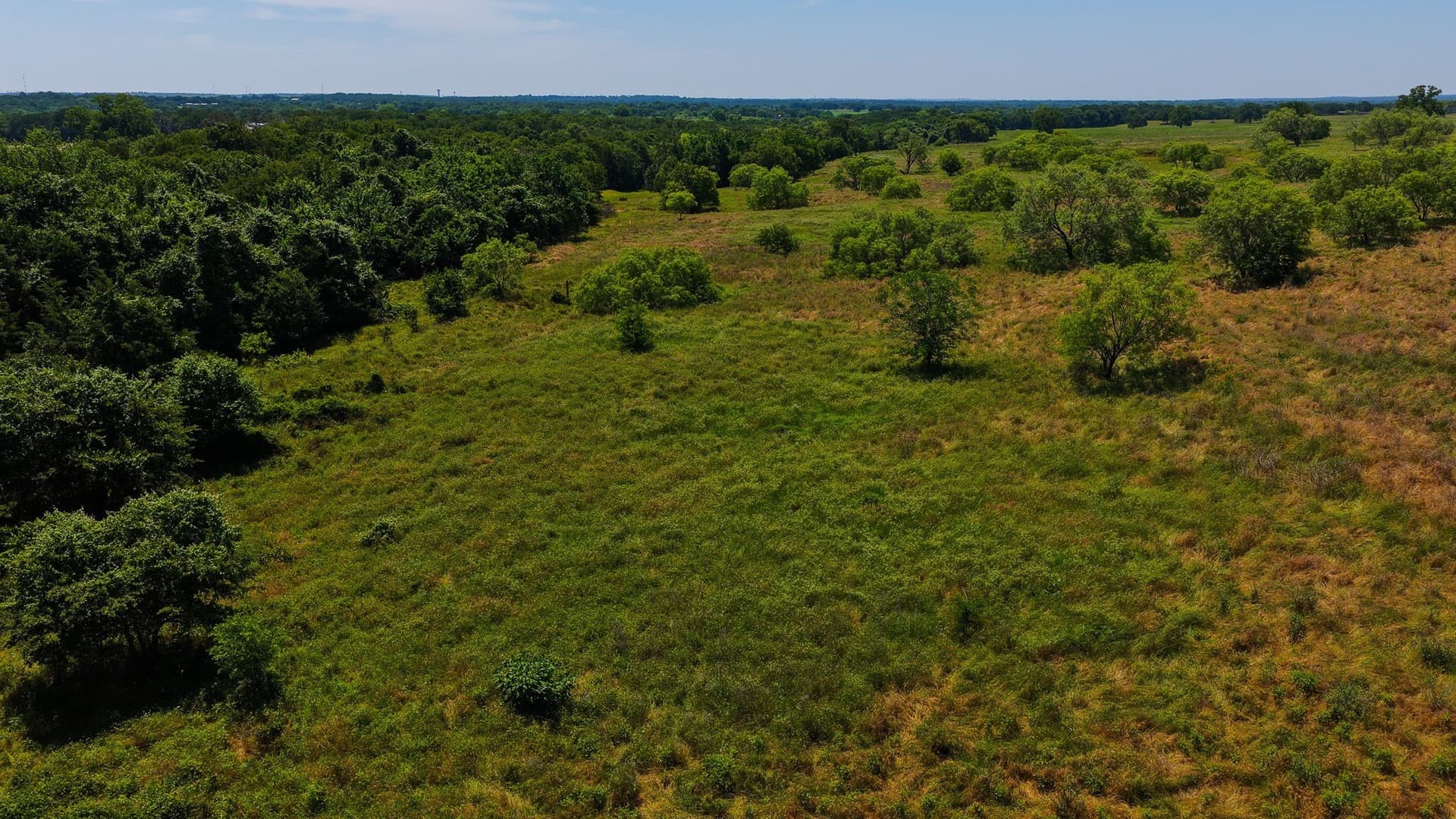 50 acres in Wise County - photo 16