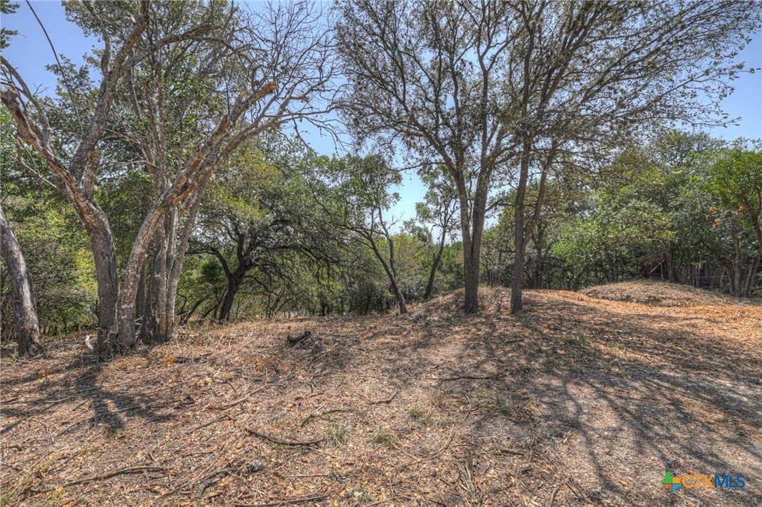 0.32 acres in Hays County - photo 3