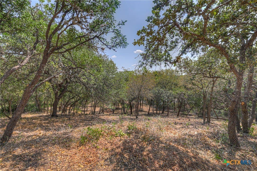 0.32 acres in Hays County - photo 4