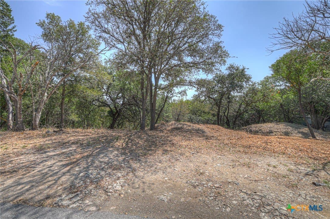 0.32 acres in Hays County - photo 2