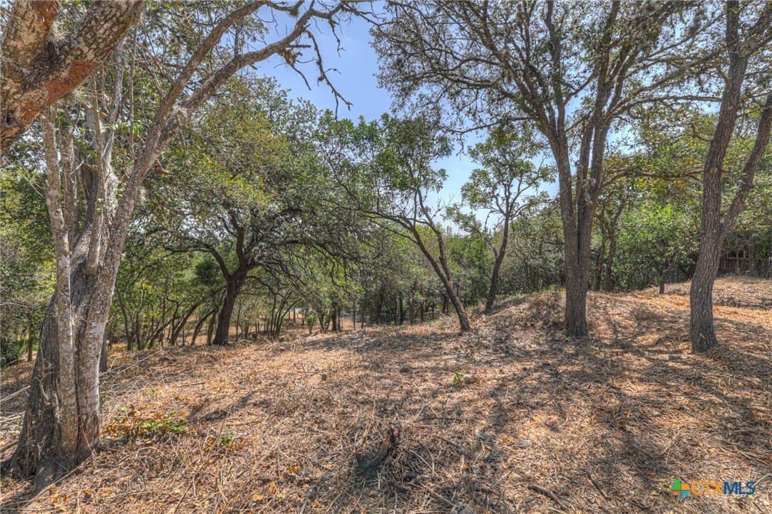 0.32 acres in Hays County - photo 5