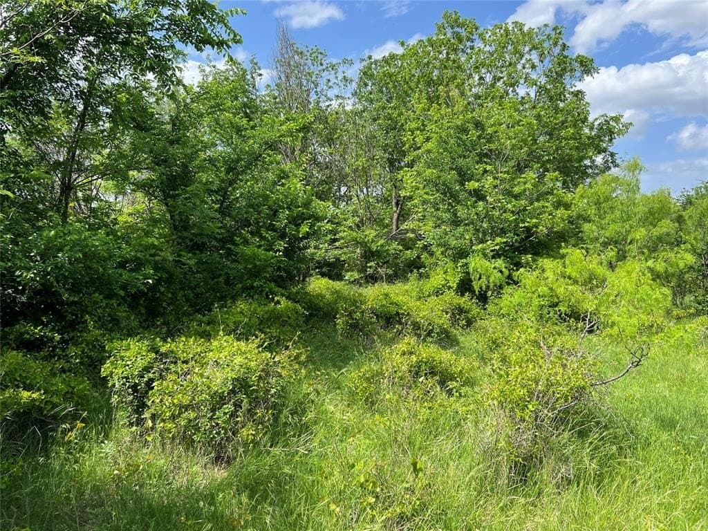 50 acres in Eastland County gallery image 2