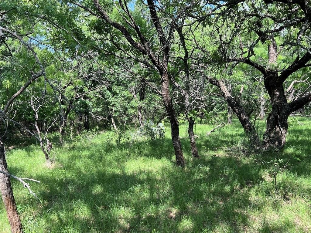 50 acres in Eastland County featured view