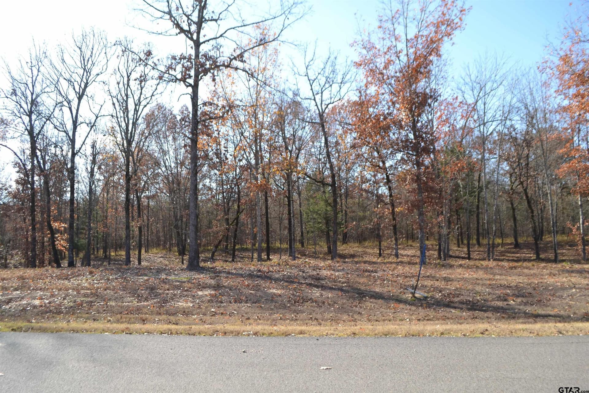 1.44 acres in Wood County gallery image 3