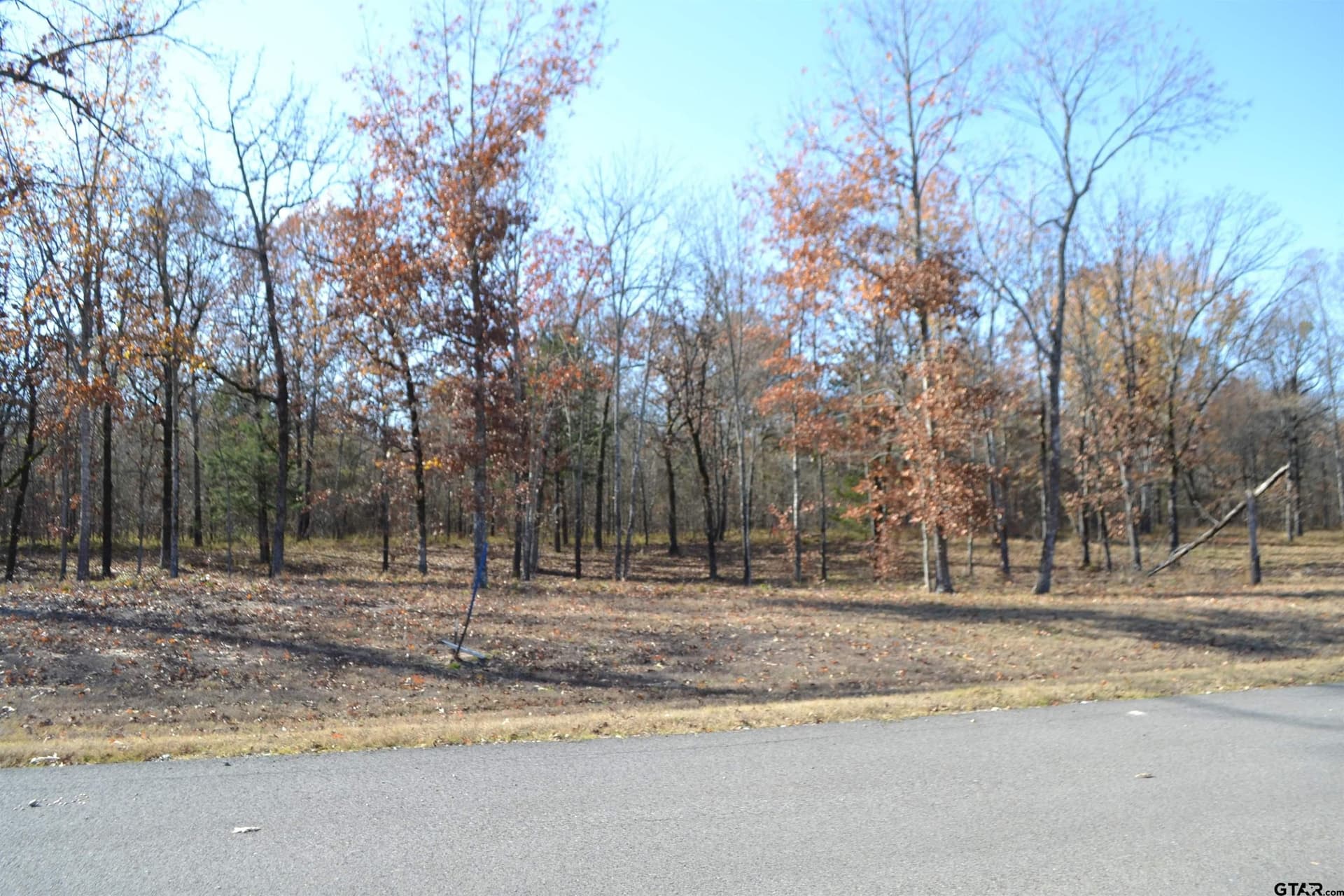 1.44 acres in Wood County gallery image 2