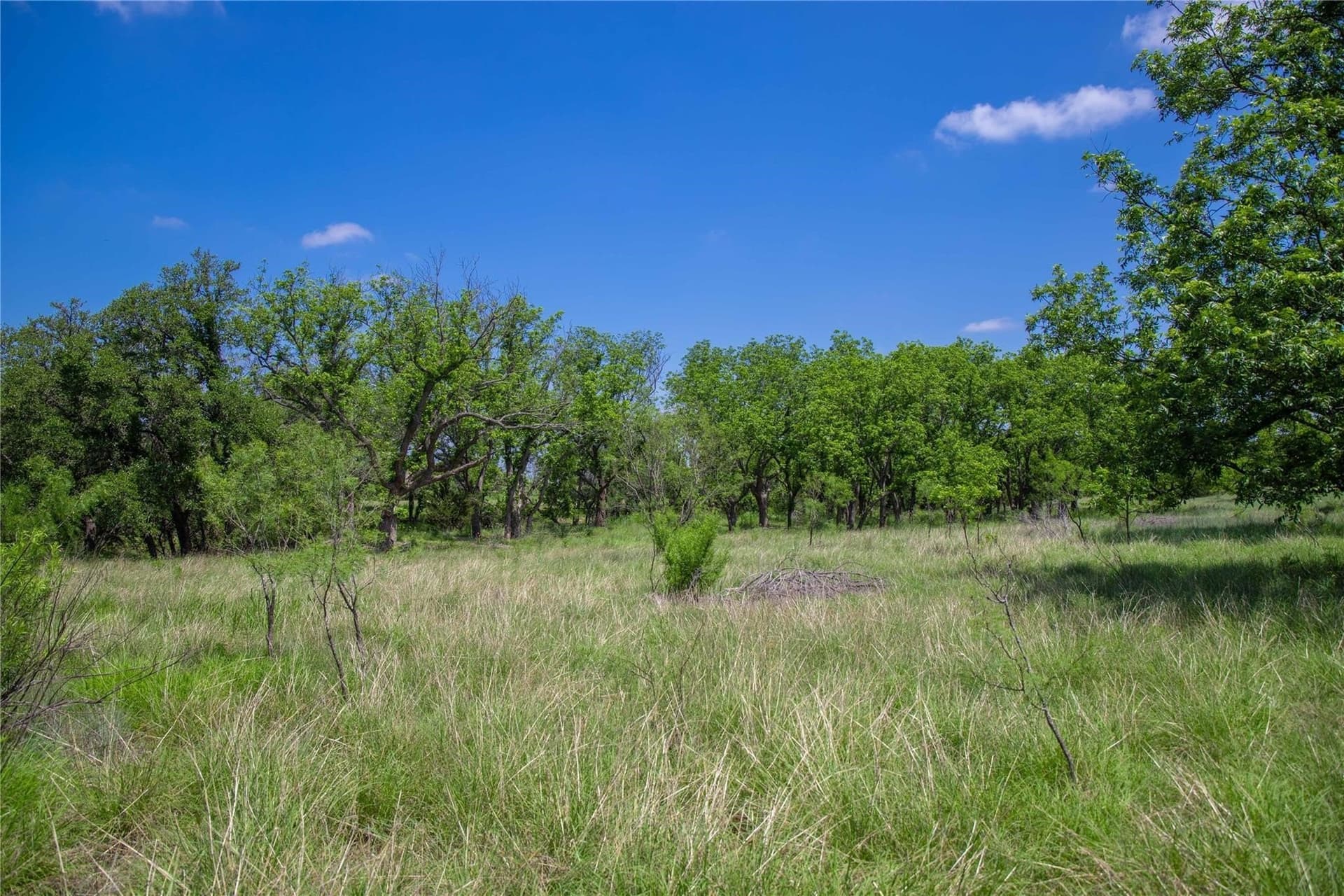 52.78 acres in Mills County - photo 6